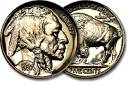 A U.S. nickel for size comparison.